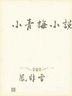 小青梅小说