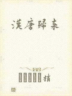 汉唐归来