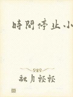 时间停止小说