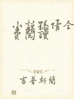 小说孙倩全文免费阅读
