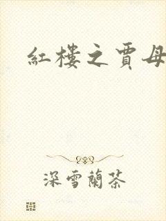 红楼之贾母封面