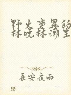 野火变异的父爱林晚林潮生