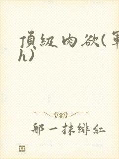 顶级肉欲(军高h)