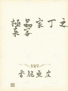 极品家丁之远方来客
