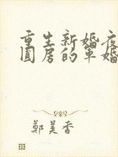 重生新婚夜正在圆房的军婚封面