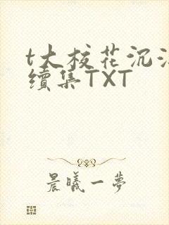 t大校花沉浮录续集TXT