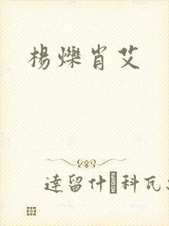 杨烁肖艾