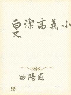 白洁高义小说全文