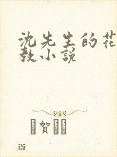 沈先生的花式调教小说