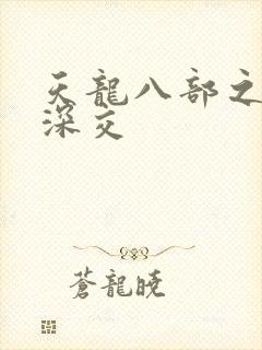 天龙八部之极乐深交封面