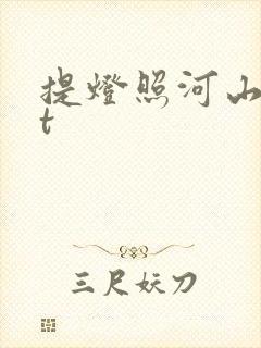 提灯照河山txt