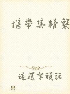 携带集精系统