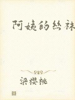 阿姨的丝袜小说