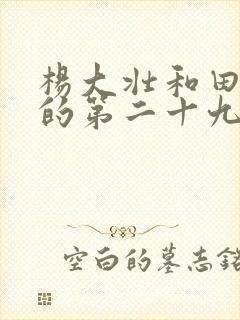 杨大壮和田桂花的第二十九