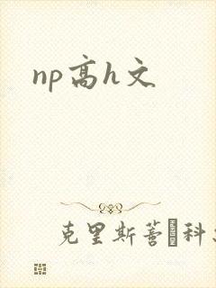 np高h文