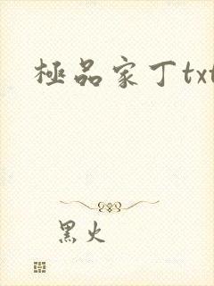 极品家丁txt