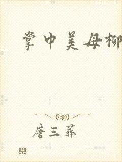 掌中美母柳玉茹