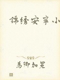 锦绣安宁小说