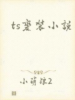 ts变装小说