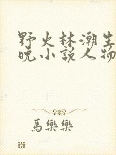 野火林潮生林晚晚小说人物野火