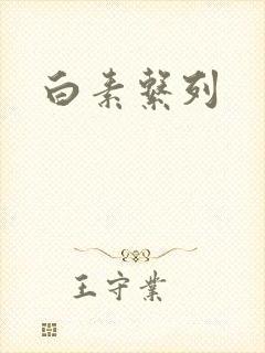 白素系列