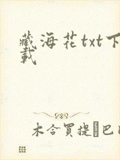 藏海花txt下载