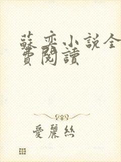 苏奕小说全文免费阅读封面