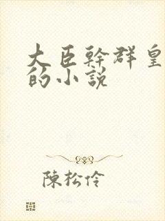 大臣干群皇太后的小说封面