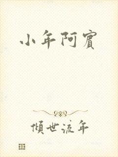 小年阿宾封面