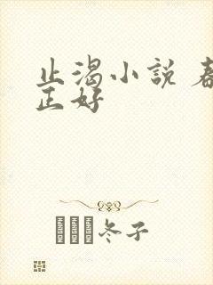 止渴小说 春光正好