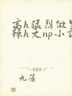 高h猛烈做哭高辣h文np小说