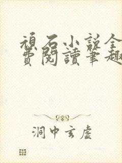 顽石小说全文免费阅读笔趣阁封面
