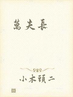 万夫长