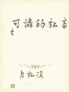 可怜的社畜txt