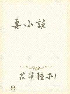 妻小说