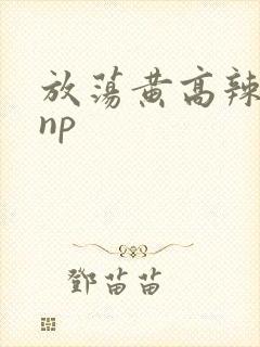 放荡黄高辣h文np