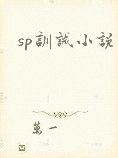 sp训诫小说
