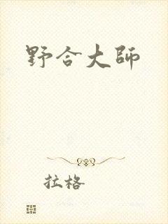 野合大师封面