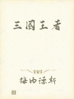 三国王者