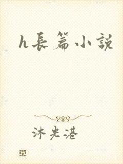 h长篇小说