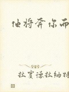 他将奔你而来封面