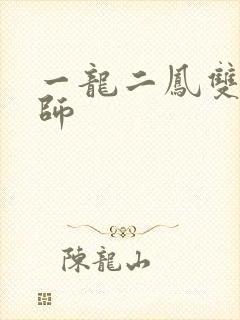 一龙二凤双飞老师封面