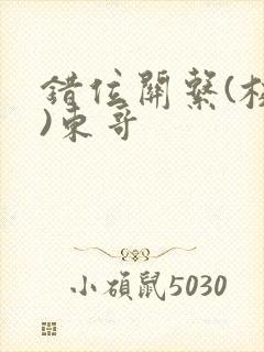 错位关系(校园)东哥封面