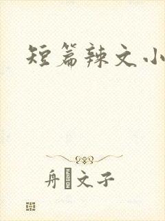 短篇辣文小说