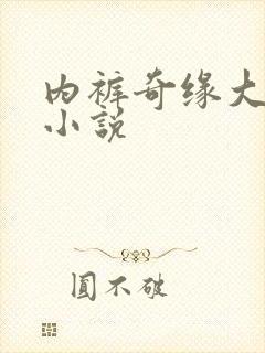 内裤奇缘大团结小说