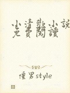 小清欢小说全文免费阅读封面