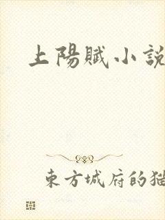 上阳赋小说