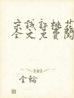 宋钱许桃花小说全文免费阅读封面