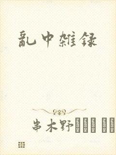 乱中杂录