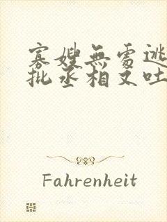 寡嫂无处逃,疯批丞相又吐血了封面